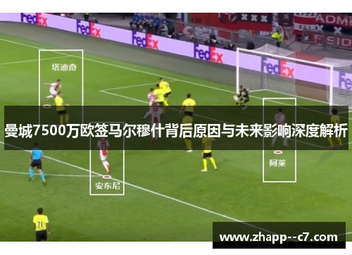曼城7500万欧签马尔穆什背后原因与未来影响深度解析